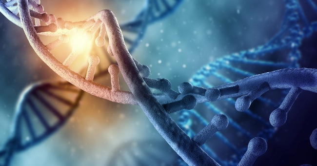 Human genome detection contains DNA of ancient viruses