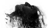 Human perception of clinical death