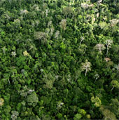 Human remains 10,000 years ago at Amazon