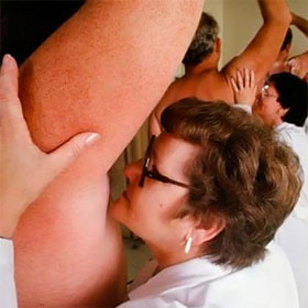 Human scents are familiar but difficult to describe