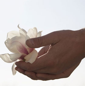 Human skin can 'sniff' the smell