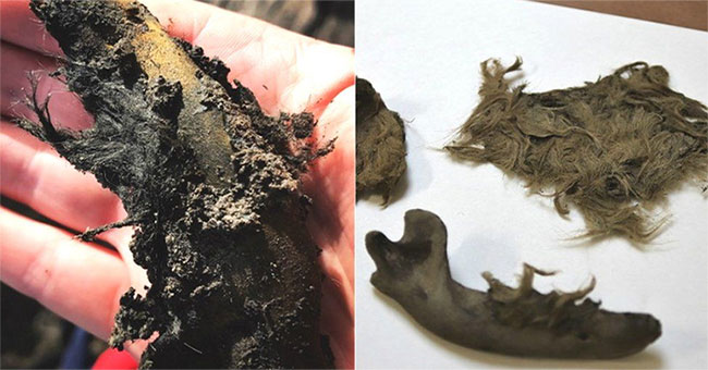 Human skulls and furless dog bodies discovered in the UK