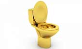 Human waste contains gold and silver