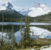 Humanity survives thanks to the Altai climate