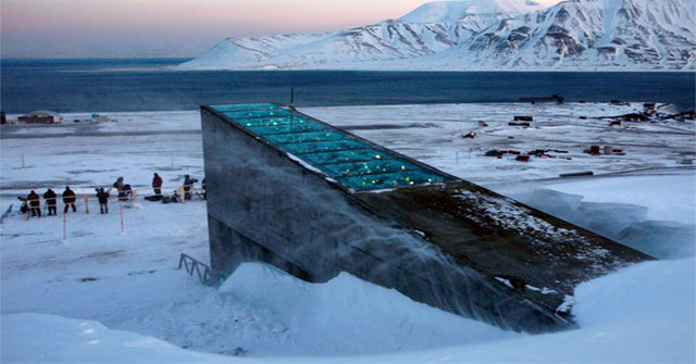 Humanity's 'anti-Apocalyptic' cellar is difficult to survive until Apocalypse