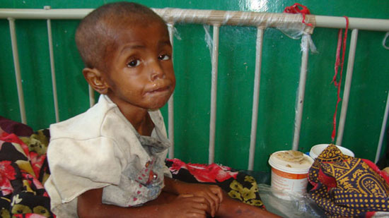 Humans are about war because the food?