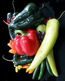 Humans have known to grow peppers from more than 6,000 years ago