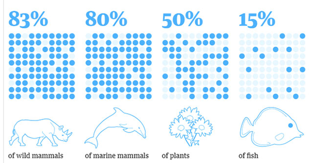 Humans make up only 0.01% of life on Earth but destroy 83% of other species