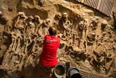 Hundreds of medieval skeletons under the Paris supermarket