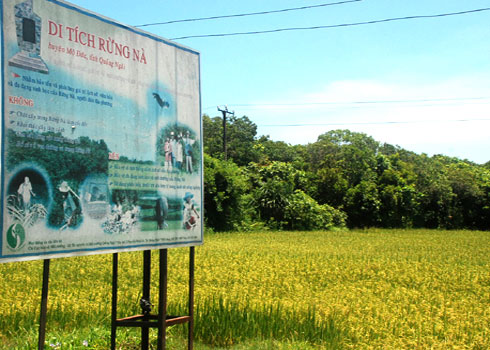 Hundred-year-old eco-forest in the village