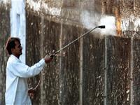 Hungary prepared the vaccine against H5N1 virus