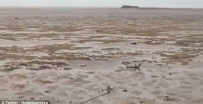 Hurricane Irma drained seawater, a rare phenomenon of surreality
