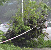 Hurricane Rammasun killed 4 people in China