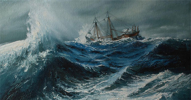 Hurricanes are nightmares for seafarers, but what about sea creatures?