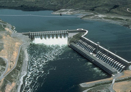 Hydroelectric dams can cause 70% extinction of wildlife
