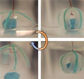 Hydrogel interaction opens up the potential for biomedical applications and robots