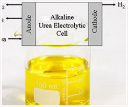 Hydrogen can be obtained from the urine