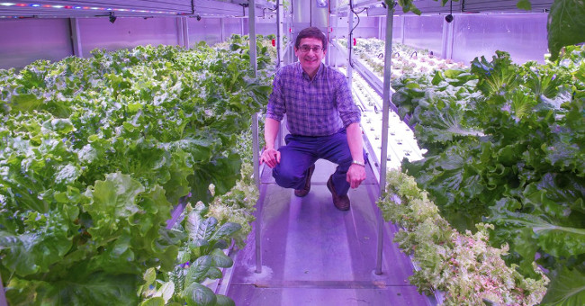 Hydroponic Gardening, Solutions for Arctic Food Shortages
