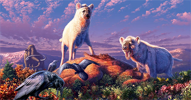 Hyena has appeared in ... Arctic in the last Ice Age