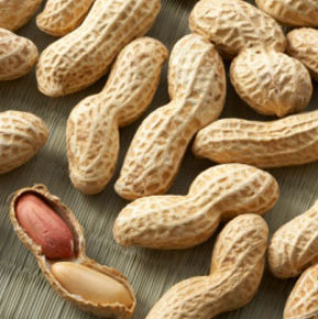 Hypoallergenic peanuts