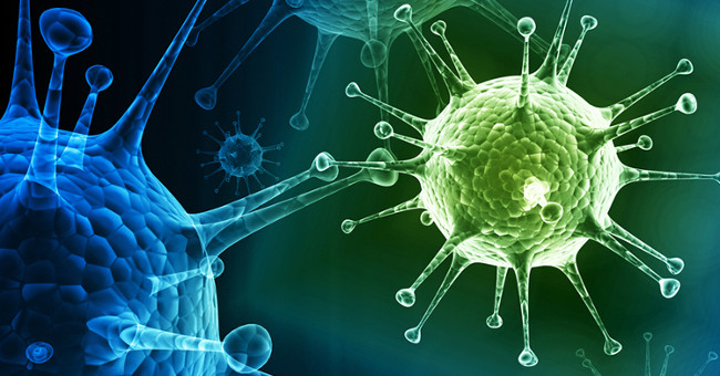 IBM succeeded in creating a macromolecule that could destroy all viruses