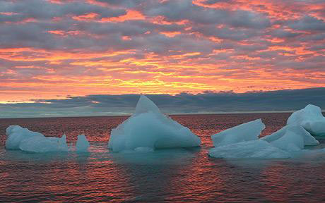 Ice in the Arctic is likely to disappear by 2030