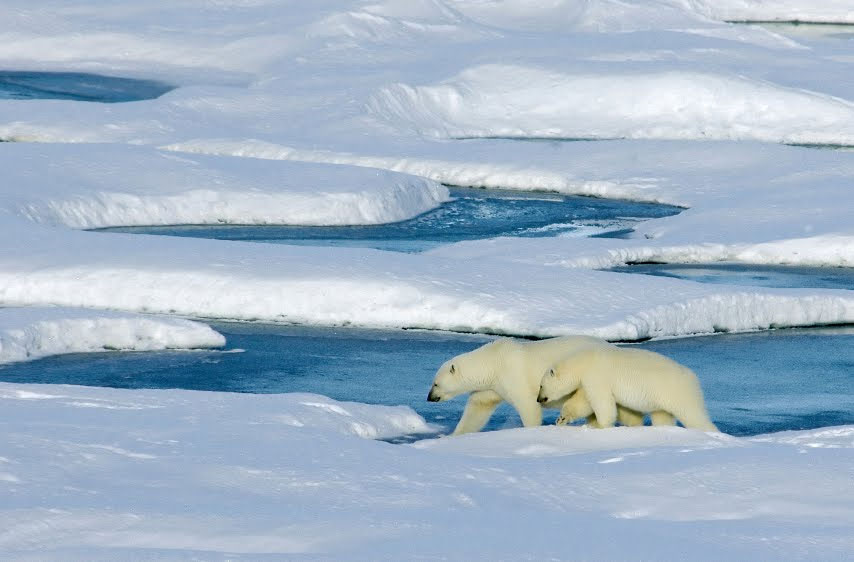 Ice in the Arctic Ocean