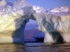 Ice melts, the sea is wide and the Arctic is in danger