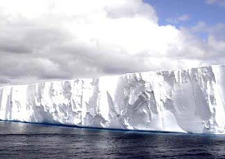 Iceberg, not only harmful?