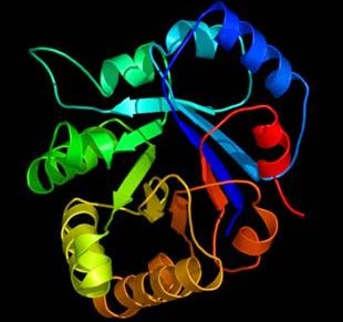 Identification and development of new enzymes