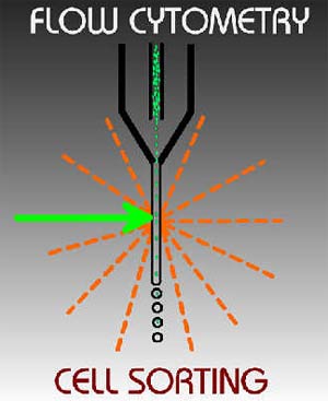 Identified the stem cell source of the person with muscle recovery potential