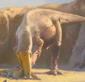 Identify giant carnivorous dinosaurs