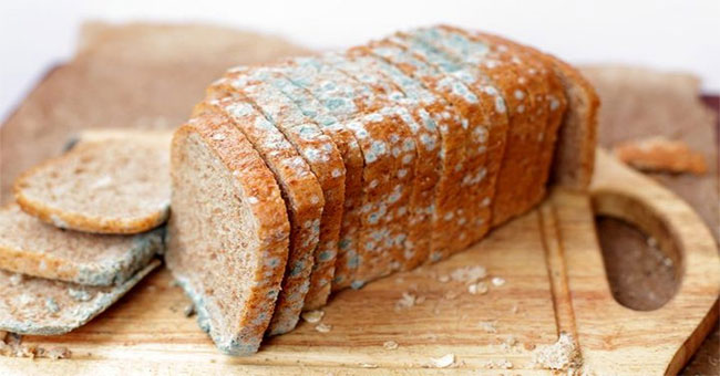 If bread is half molded, can you eat the rest of the cake without mold?