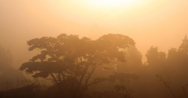 If the amount of CO2 continues to rise, the Earth will return to the period of dinosaurs