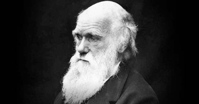 If you have these diseases, it is likely that you will be a genius
