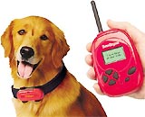 Ignobel tournaments related to dogs