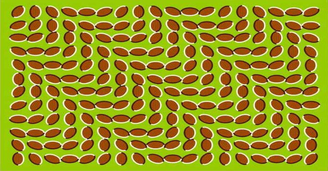 Illusion makes still images like moving