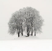 Image: Europe is in a snowstorm