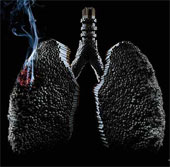 Images of the terrible destruction of cigarettes