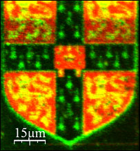 Imaging technique is a billionth of a meter and the power of a micropipette straw.
