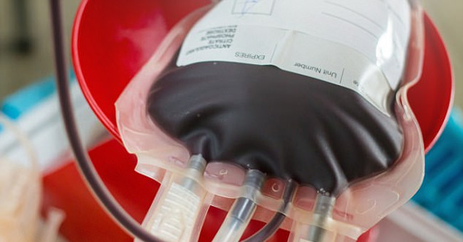 Immortal cells have the ability to produce infinite erythrocytes