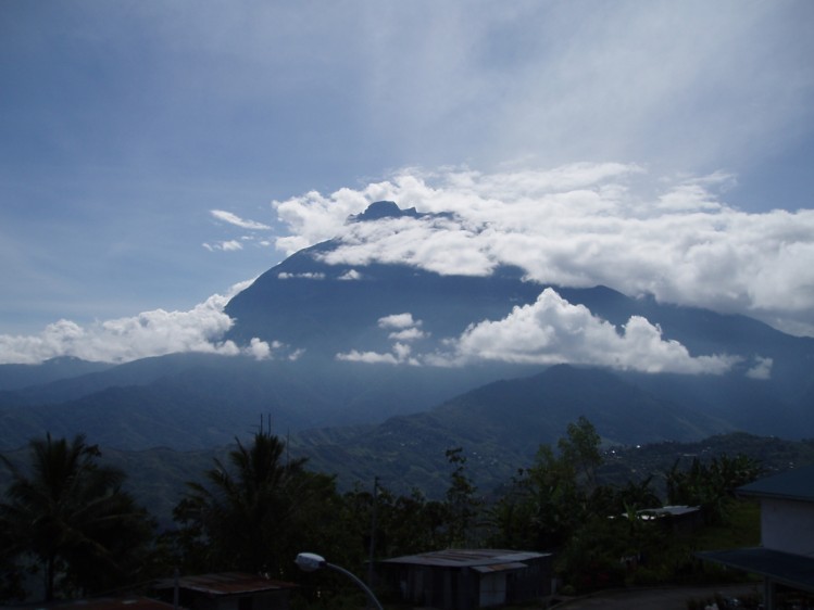 Impact of climate change on biodiversity