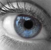 Implant human eyes on cicada wings