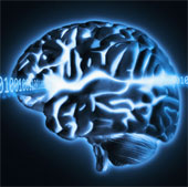 Implant liquid into human brain to be smarter