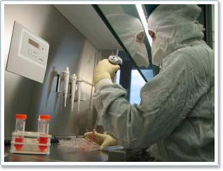 Implants artificial skin from hair roots