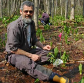 Important role of wild insects with agriculture