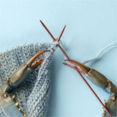 Impress animals' feet and claws