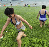Impressive environmental images in 2013