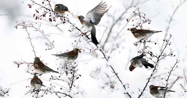 Impressive nature photos of 2015