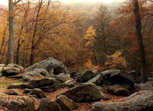 impressive nature